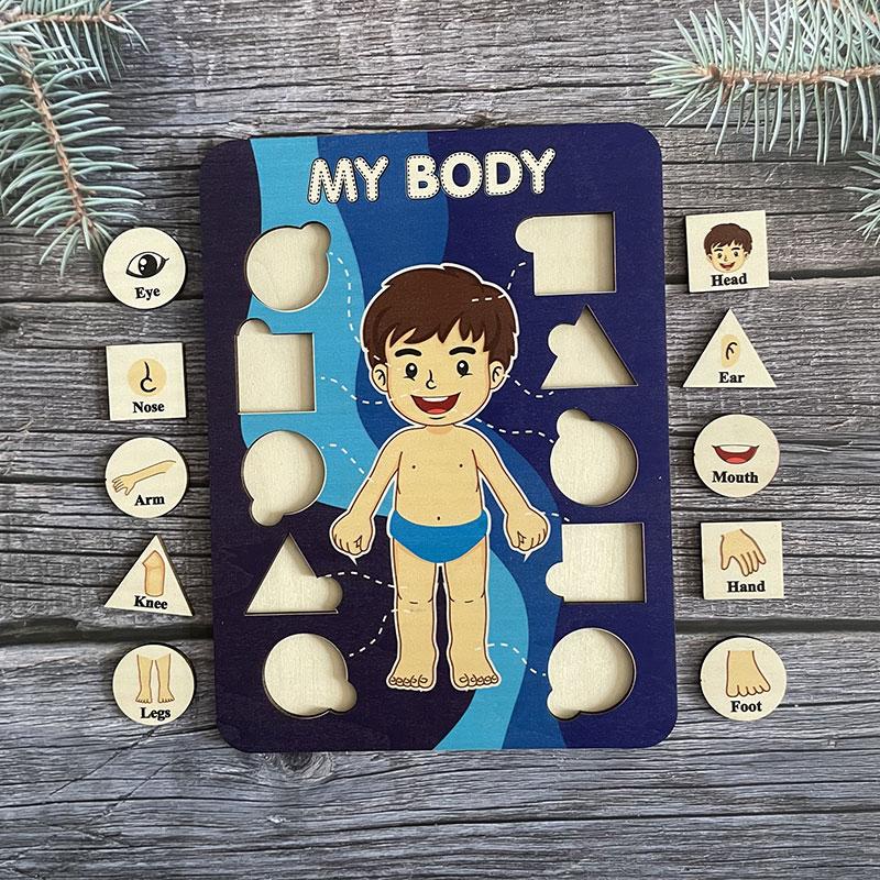 Montessori Human Body Parts Structure Wooden Puzzles Toys Parish Organs Cognitive Open Learning Educational Toys Matching Game