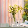 Tall Clear Vase for Centerpieces, Glass Hurricane Candle Holders for Pillar or Floating Candles Round Vases for Wedding Annivery