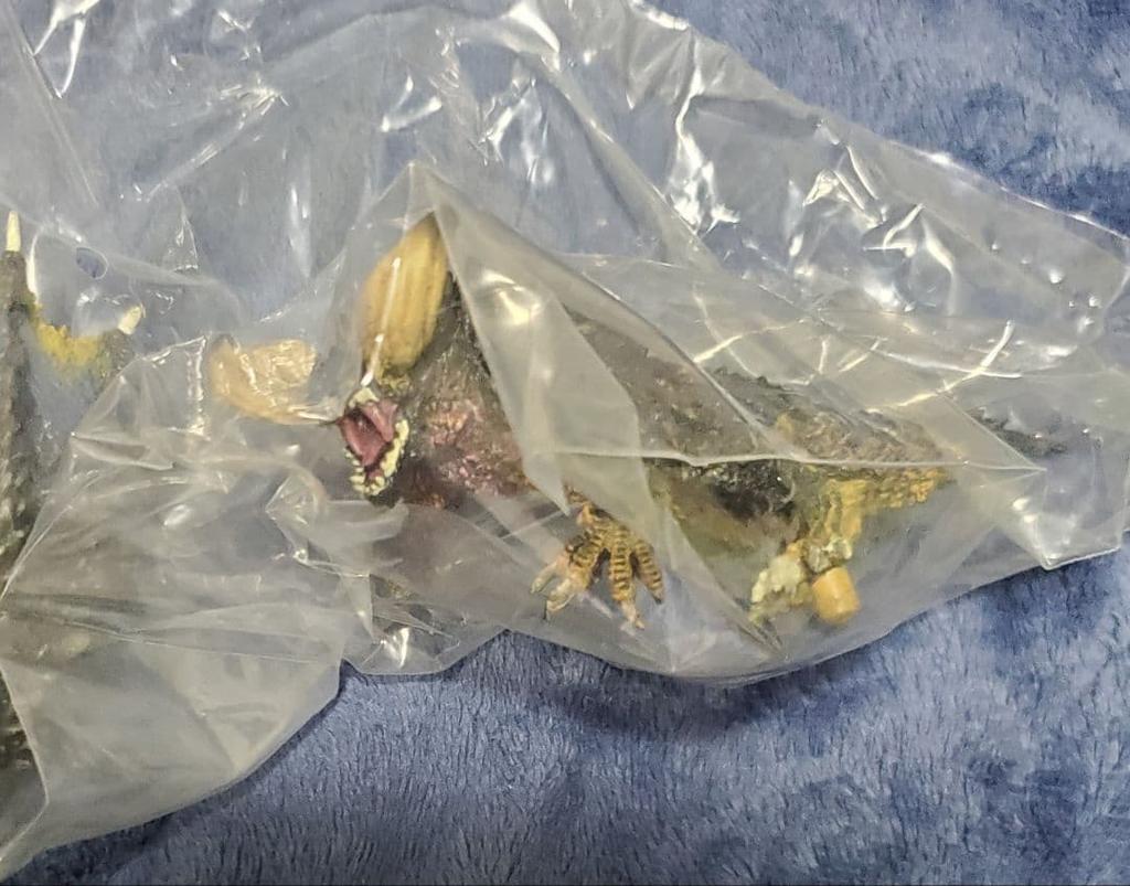 [USED] Monster Hunter Monster Hunter Figure Nergigante 1 ()