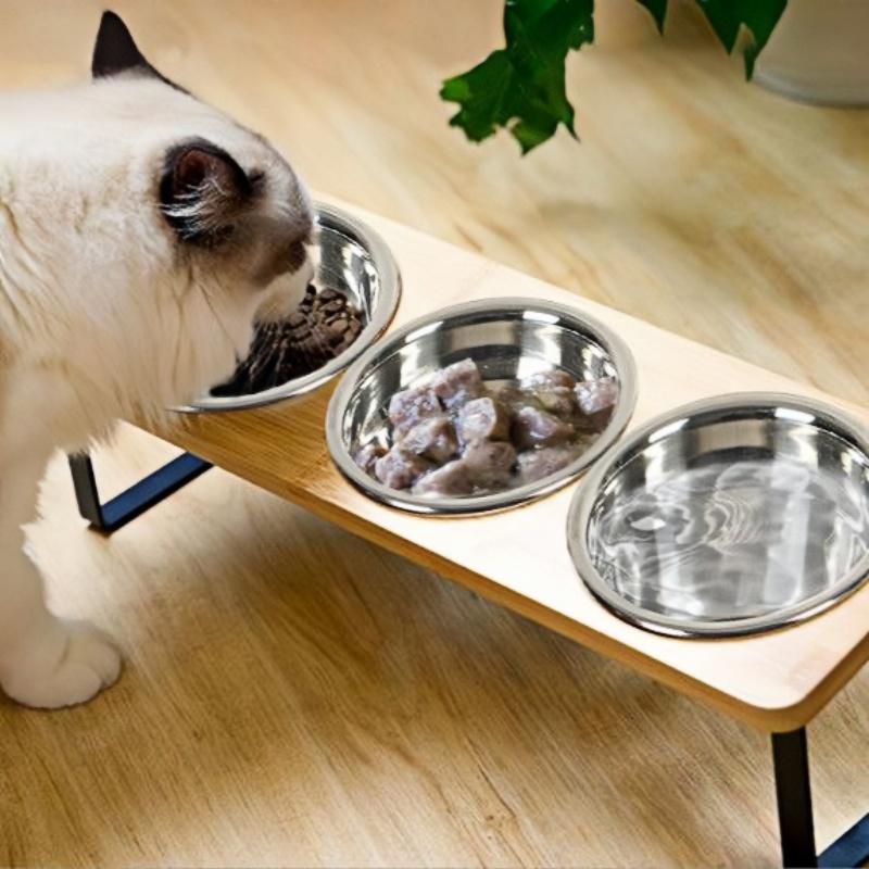 Elevated Cat Bowl Set - 3 Stainless Steel Bowls with 10° Tilted Iron Stand Raised Feeding & Watering Station for Cats