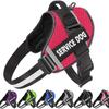 Reflective Pet Harness & Leash - Comfortable Vest-Style Design