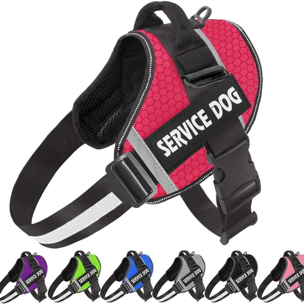 Reflective Pet Harness & Leash - Comfortable Vest-Style Design