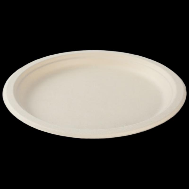 Biodegradable Sugarcane Pulp Disposable Plates