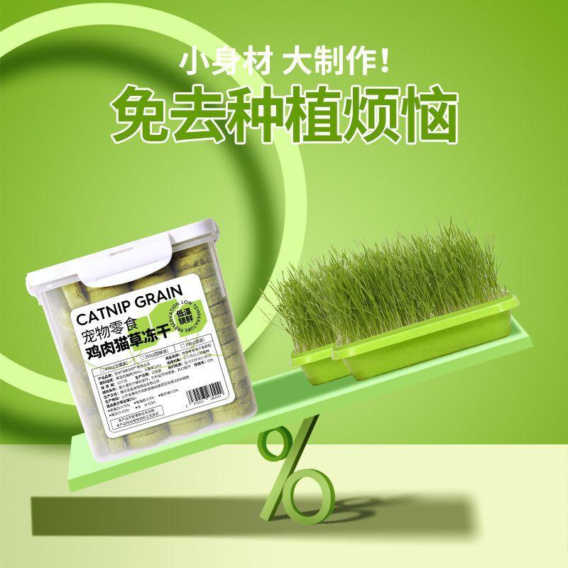 Cat Grass Dental Chew Sticks Hairball Control Oral Care Snack Natural Digestive Aid Adult Cats