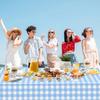 1 Pack Light Blue Gingham Tablecloth Rectangular Pale Blue and White Checkered Tablecloths Disposable Plastic Plaid Table Cover for Parties