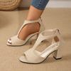 Coarse Heel Large Size Sandals Women's Summer New European and American Fashion Open-toe Bag Heel Back Zipper High Heel Open-toe High Heel