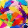 50PCS Colorful Natural Goose Feathers Natural Feather Colored Feathers  DIY Home Crafts