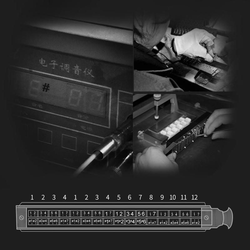 12 Holes Blues Harp Diatonic Harmonica 48 Tones Mouth Organ Harmonica For Adults
