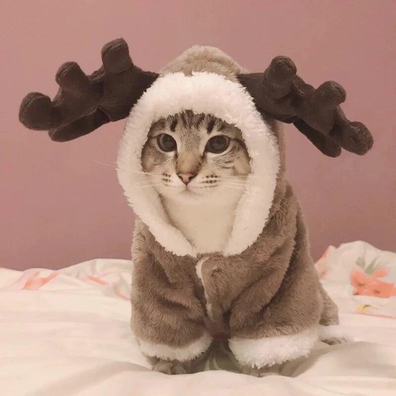 

Зимняя одежда для кошек, теплый флисовый костюм для домашних животных, комбинезоны для маленьких кошек, одежда для котят, куртка для кошек, забавная одежда для домашних животных, собак и кошек