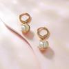 Pearl Earrings for Women with High-end Simple and Trendy Light Luxury Earrings