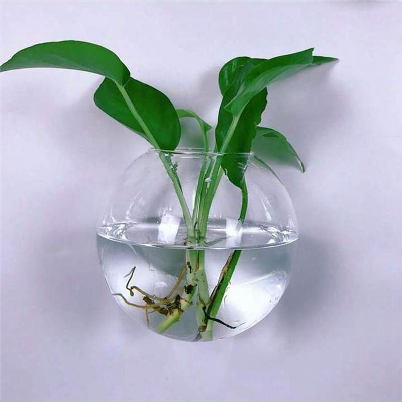 AS60-Ručně vyráběná kulatá skleněná váza-Balení 2/6-Nástěnný terárium-Hydroponický květináč s automatickým zavlažováním Pro domácí kancelářskou dekoraci