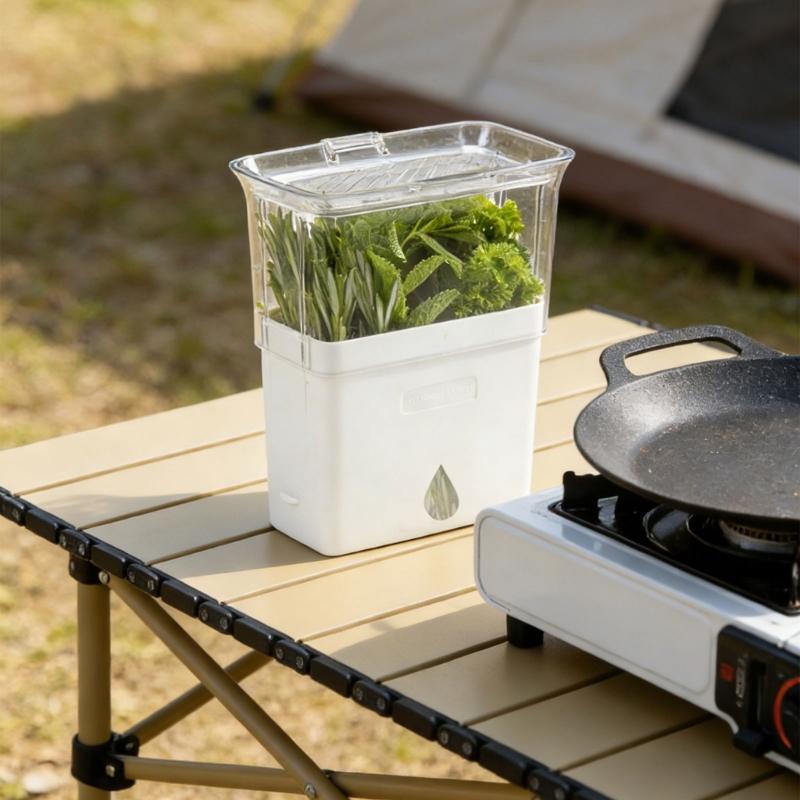 Clear View Vegetable and Herb Storage Container Maintains Crispness for Kitchen Organization and Picnics Essential