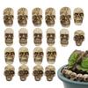 Resin Skulls Mini Skulls Figurine Miniature 20 Piece Skeleton Head Collectible Props Gothic Miniature For Desk Table Bookshelf
