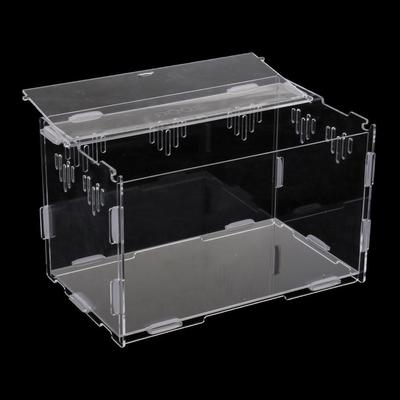 Acrylic Reptile Terrarium Feeding Tank , S
