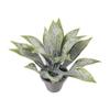 Miniature Potted Plant, Tiny Artificial Green Plant, Realistic Miniature Plant Model for 1:6 or 1:12 Scale Doll Mansion Miniature Room Decor