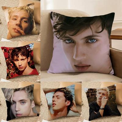 Singer T-Troye Sivan Pillow Case Anti-dustmite Invisible Zipper Sofa Bed