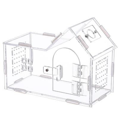 Durable Acrylic Reptile Habitat Anti-Escape Clear Spider Feeding Case Ventilated Arboreal Reptile Terrarium Small Pet Supplies