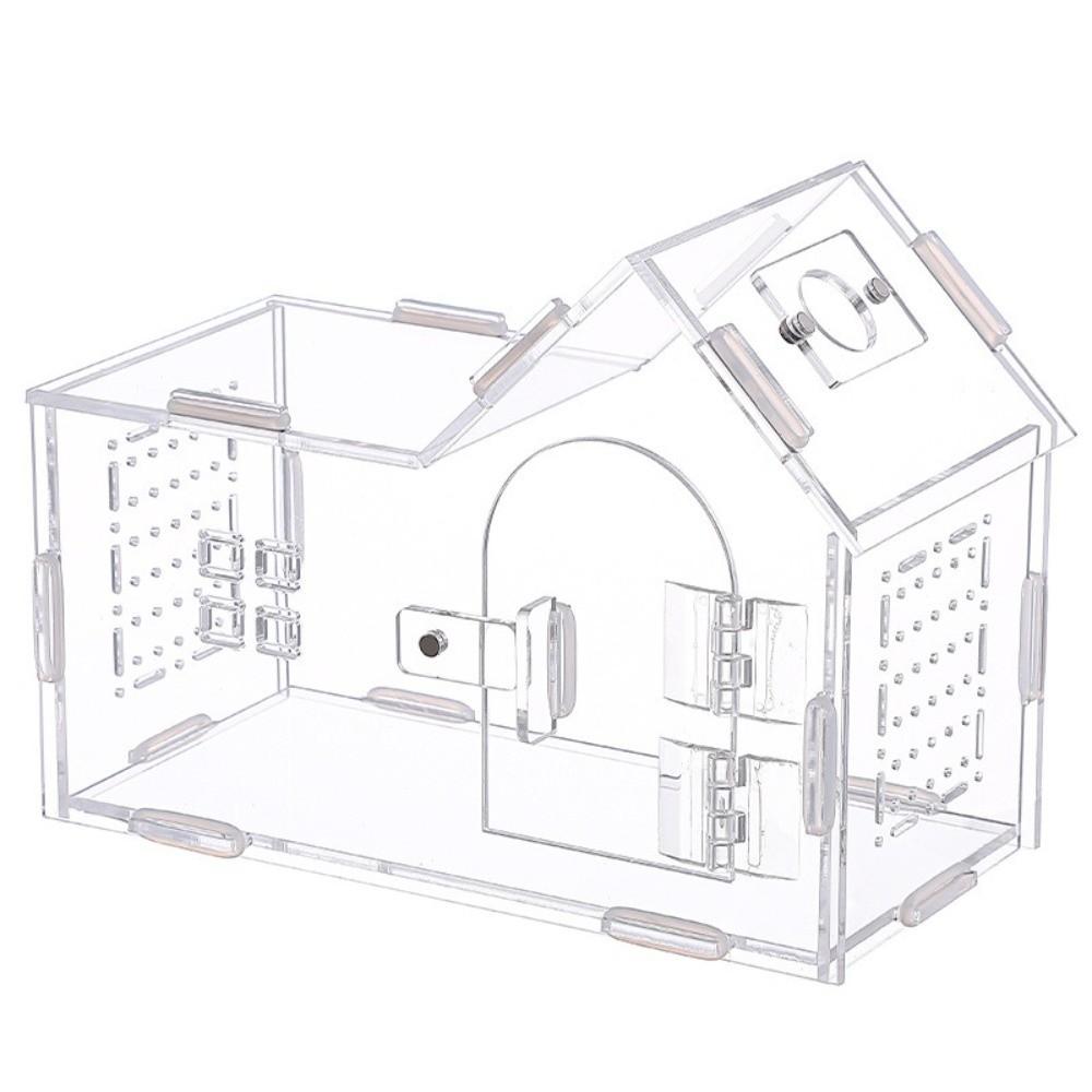 Neues Acryl Reptilienhabitat Klar Belüftet Spinnen Fütterungsbehälter Ausbruchsicher Baumbewohnende Eidechsen Zuchtbox Kleintierzubehör