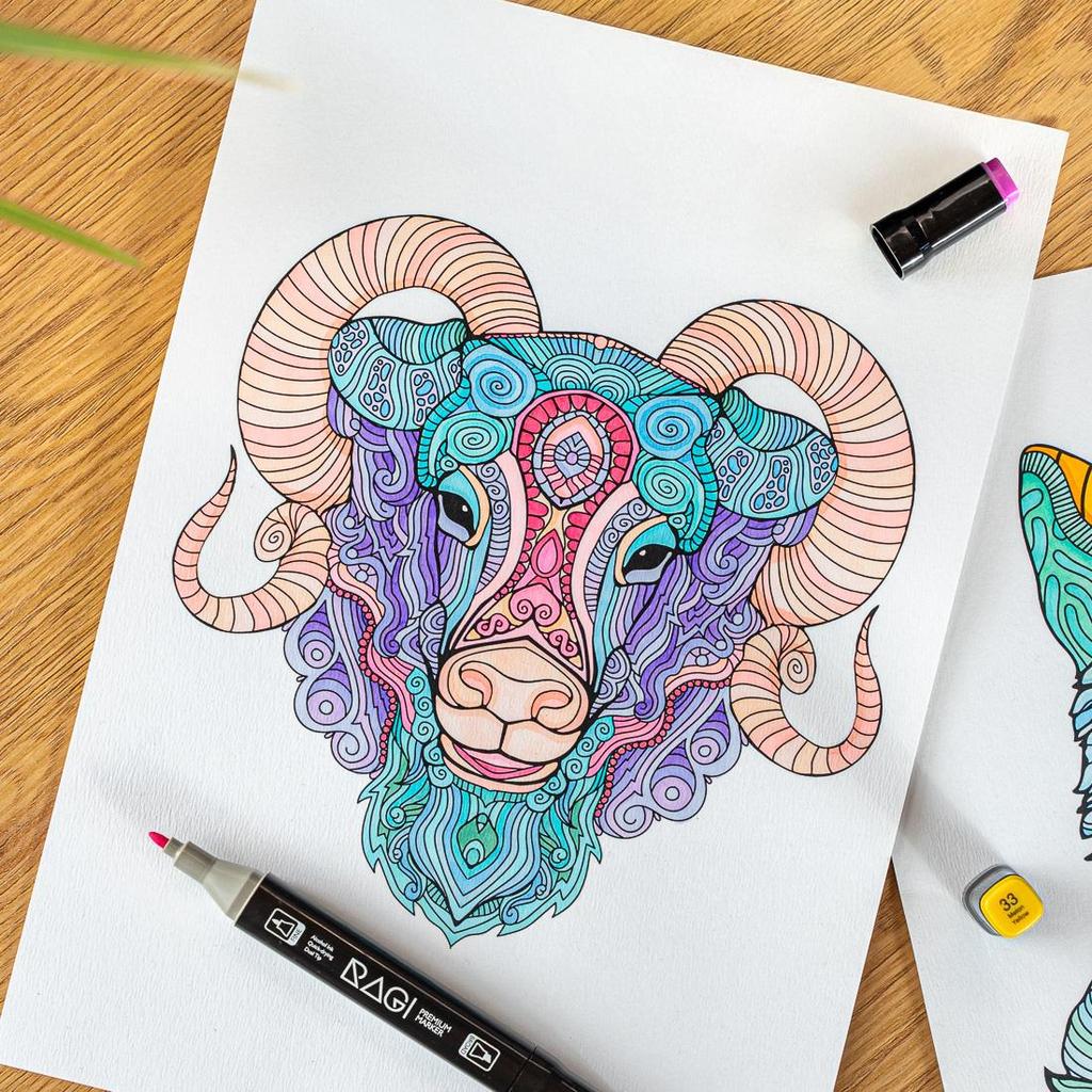 RAGI Pennarelli ad Alcool 80 Pennarelli fronte/retro, Doppia Punta, Set da Disegno Artistico Professionale