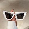New Cat Eye Fashion Sunglasses Woman Vintage Luxury Brand Designer Sun Glasses For Female UV400 Protection