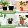 2025 Trend Self-Watering Hanging Planter 2-Pack, 34-Inch Macrame Hanger Plant Pot For Indoor& Outdoor With Drainage