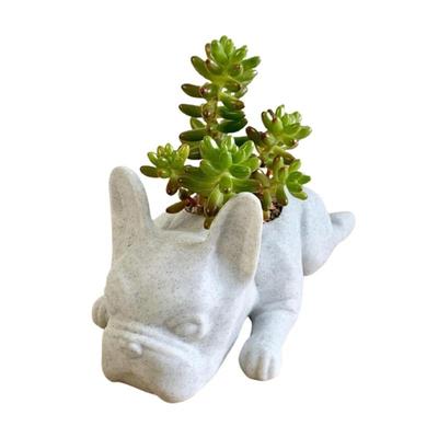 Estatua de Animal Cachorro Bulldog Lindo Creativo Mini Resina Perro Maceta para Suculentas Pequeña Maceta Planta de Aire Contenedor para Macetas Bonsái