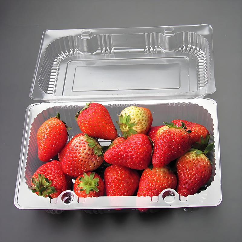 

Clear Plastic Pastry Box - Display Bakery Container with Lid for Cakes, Desserts & Baked Goods United States