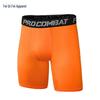 Men's European & American Standard Quick-Dry Sports Fitness Shorts
