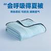 Summer Quilt Air Conditioning Summer Fresh Student Dormitory Single Person Summer Cool Quilt