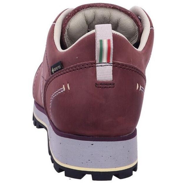 Треккинговые ботинки Dolomite 54 Low Fg Evo GTX