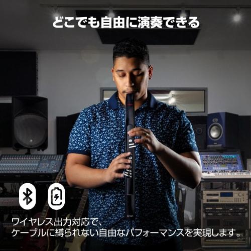 Akai Professional EWI 5000 Wind Synthesizer, Electronic Wind Instrument, Battery-Powered, Wireless, Built-in Sound Library, Breath Sensor, Black