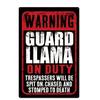 No Trespassing Tin Signs  Video Surveillance Warning Plaque  Metal Wall Art Poster  Yard Iron Painting Stickers  Home Decor