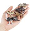 Cognitive Cat Simulation Model: Mini Tabby, Black, White Cat Educational Toy