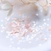 6/12 Grids Cherry Blossom Petals Nail Art Glitter Sequins Holographic Nail Flakes Sequin Mixed Iridescent Powder Nail Decoration
