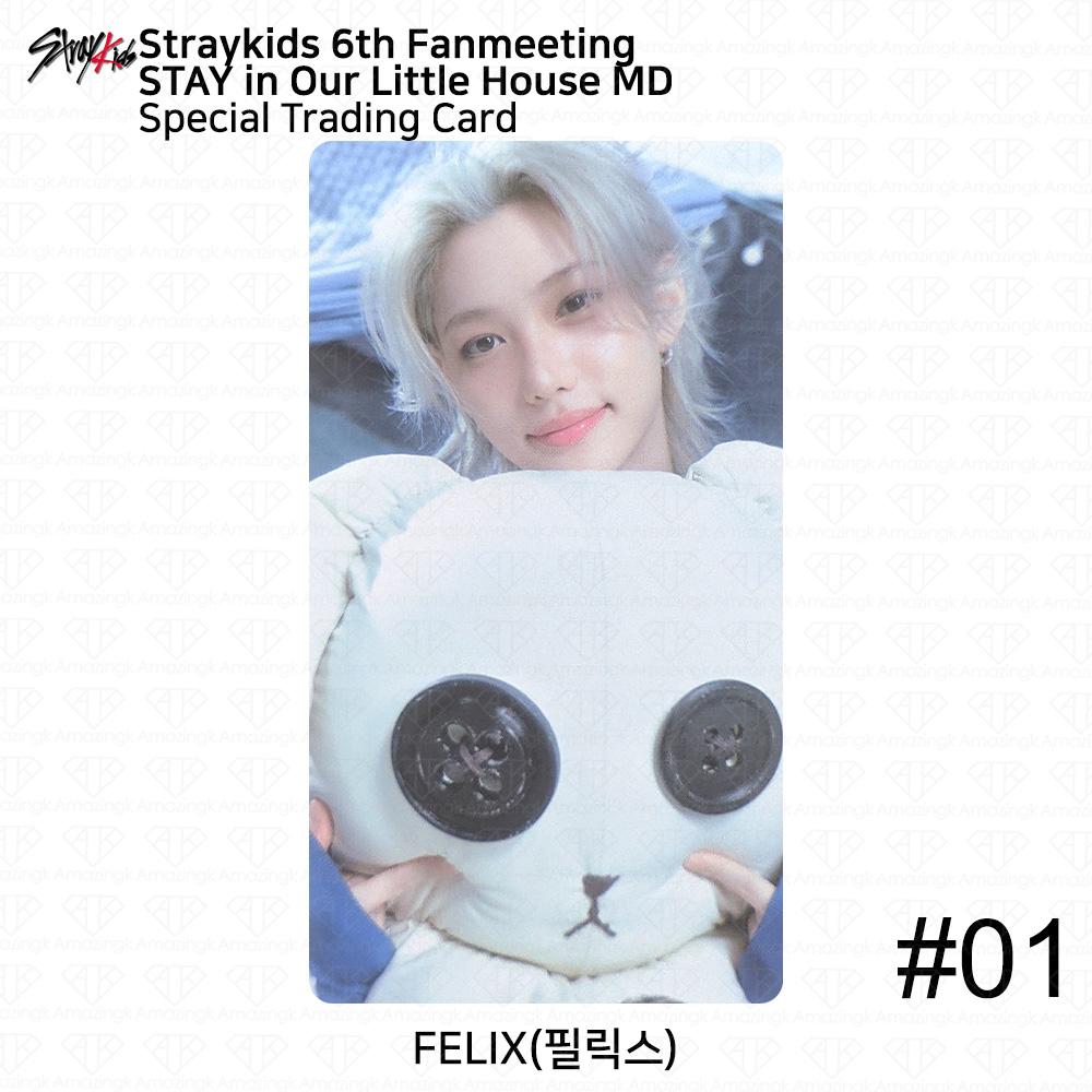 STRAY KIDS 6th Fanmeeting STAY in Our Little House MD Special Trading Card