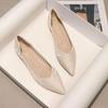2024 Autumn Women's Fashion Mary Jane Flat Shoes - Versatile Pointed Toe for Skirts, Gentle Style