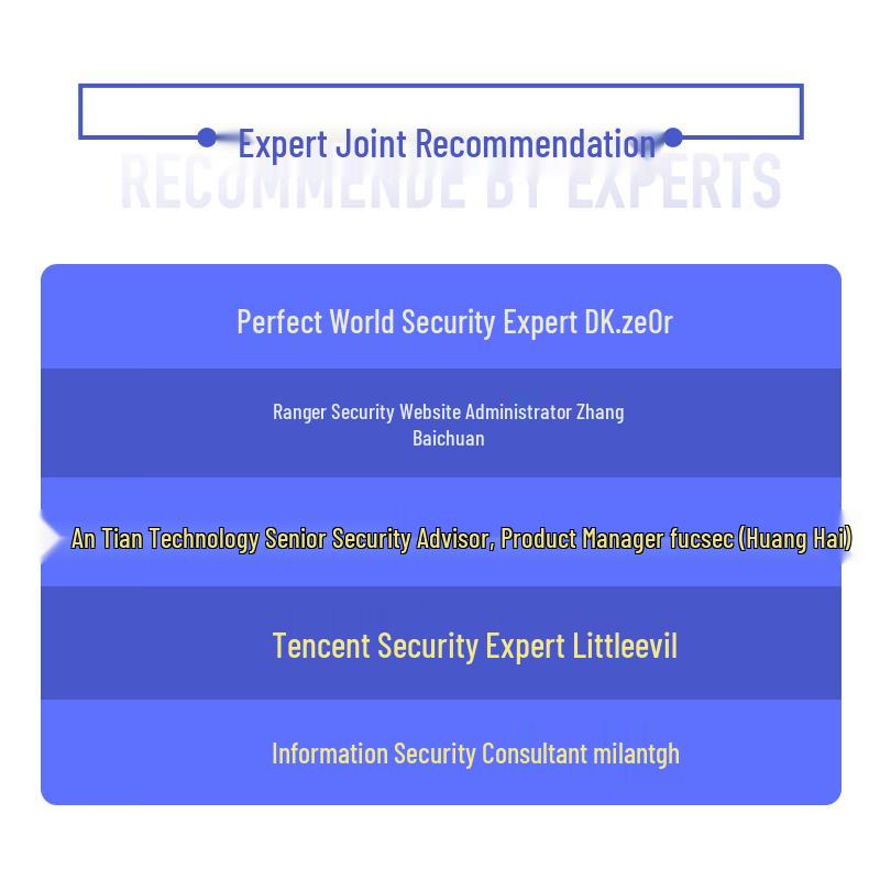 Web Security Vulnerabilities: Principles and Practice