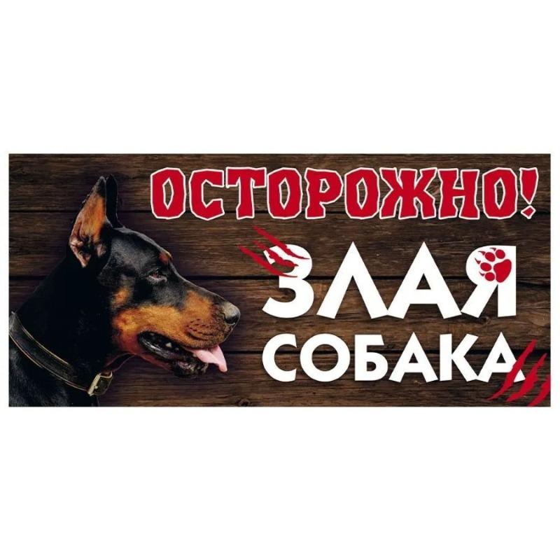 Vorsicht Böser Hund Metallschild, Zauntür Warnschild 30x15cm