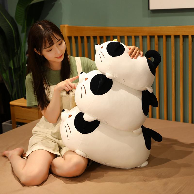 35-60CM Kawaii Lovely's Beard Dumpling Cat Stuffed Animal Plush Toys Cute Fat Tabby Cats Toys Pillows Children's Toy Gifts