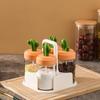 Kitchen Seasoning Jar Set Cactus Shape Lid Glass Bottle Good Sealing Spice Container with Bottom Tray 3Pcs