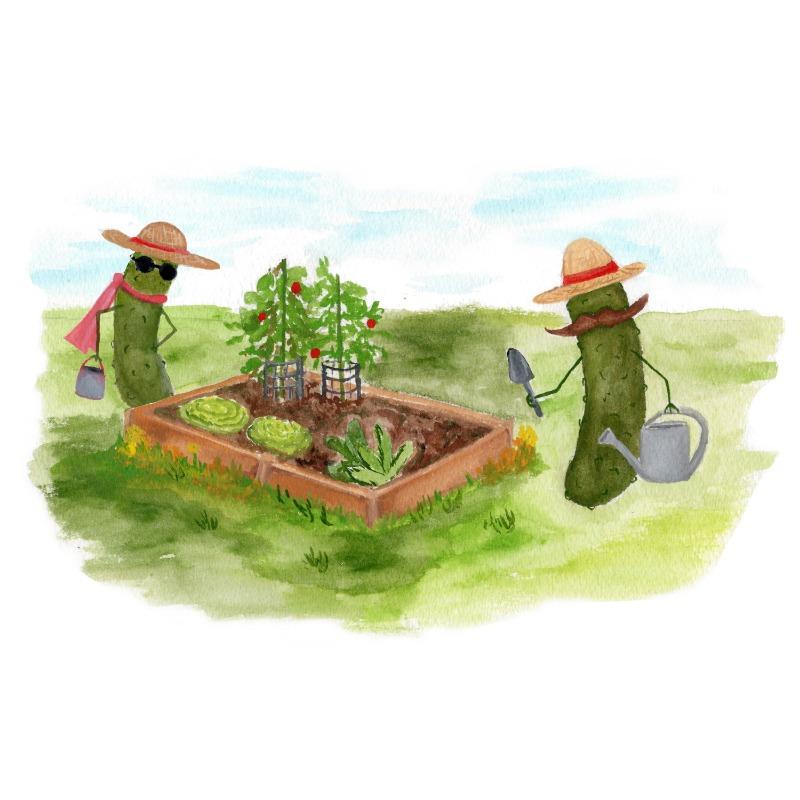 

Funny Whimsical Pickles Watercolor Posters and Prints Canvas Printing Modern Wall Art Picture for Living Room Home Decor Gifts 21cm×30cm NoFrame