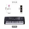 88/61/54/49/37 Key Piano Keyboard Stickers, Musical Note Stickers, Full Set, 88 Keys, Peelable, for Beginners, Piano Practice, Finger Practice