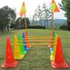 2 Pack Sports Training Cones Plastic Marker Training Traffic Cones for Skate, Soccer, Football, Assorted Colors, 12 Inch
