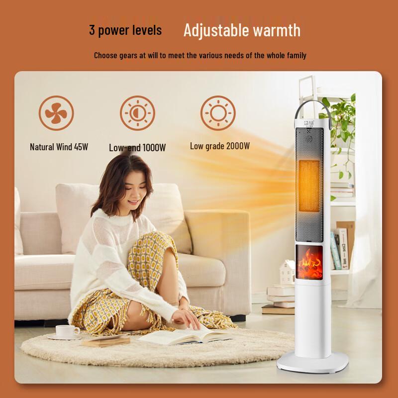 DUTRIEUX Electric Fan Heater