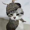 Pet Detective Transformation Cloak Hat Set Cat Dog Checkered Halloween Dress Up Funny Cloak Coat Puppy Clothes for Small Dogs