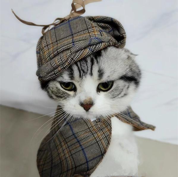 Pet Detective Transformation Cloak Hat Set Cat Dog Checkered Halloween Dress Up Funny Cloak Coat Puppy Clothes for Small Dogs