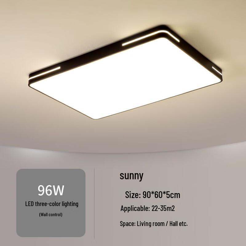 Modern LED Ceiling Lamp with Remote Control Dimming
