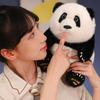 Sitting Simulation Backpack Panda Flower Plush Toy Zoo Souvenir Children's Birthday Gift