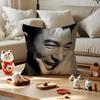 Andy Lau Actor Cushion Cover Anti-Dustmite Pillowcase Invisible Zipper Silky Short Plush Sofa Cushion Cover