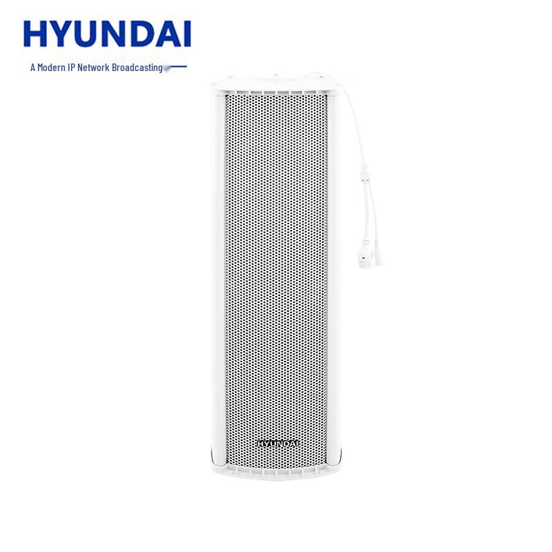 Hyundai IP Network Broadcasting Audio Systems CN plug (adapter included)
